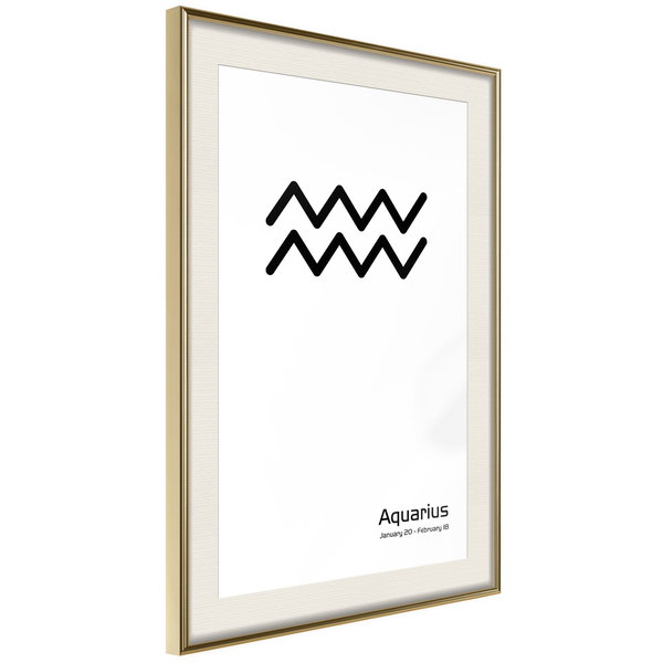 Poster 'Zodiac: Aquarius II'