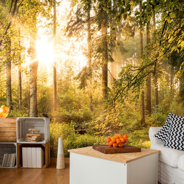 Carta da parati autoadesiva 'Mystic of the Morning'