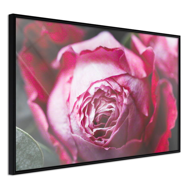 Poster 'Blooming Rosae'