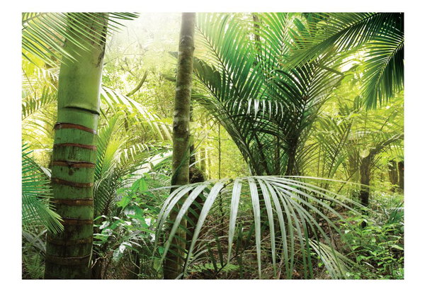 Selbstklebende Tapete 'Green alley'