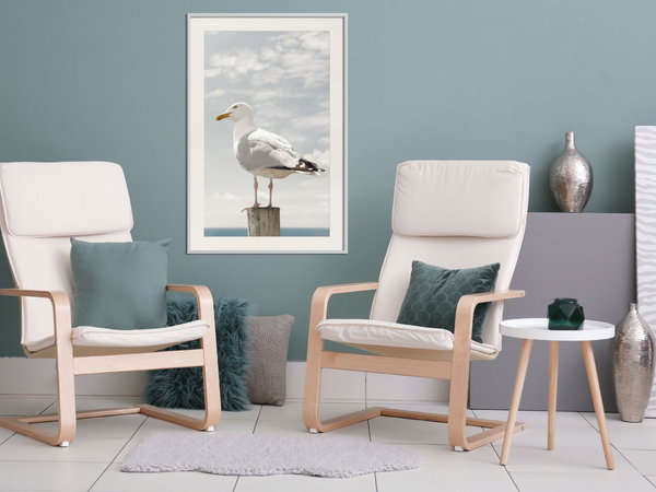 Poster 'Curious Seagull'