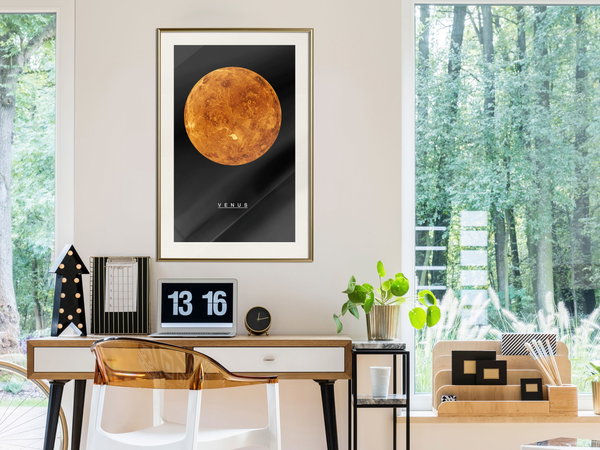 Poster 'Venus'