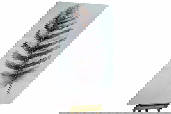 Een uniek exemplaar voor je interieur