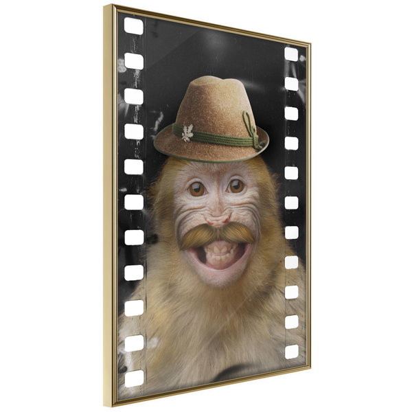 Poster 'Monkey In Hat'