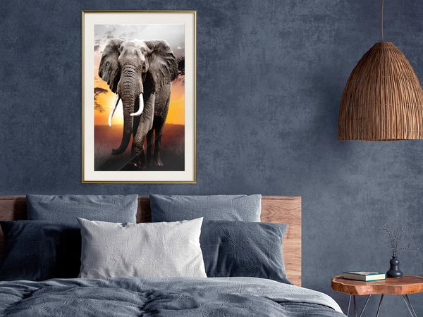 Poster 'Majestic Elephant'