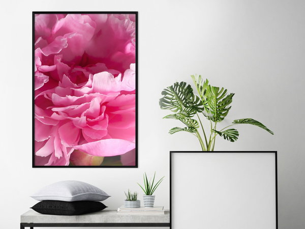 Poster 'Beautiful Peonies'