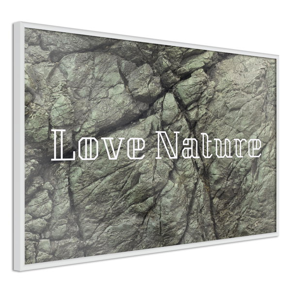 Poster 'Nature'