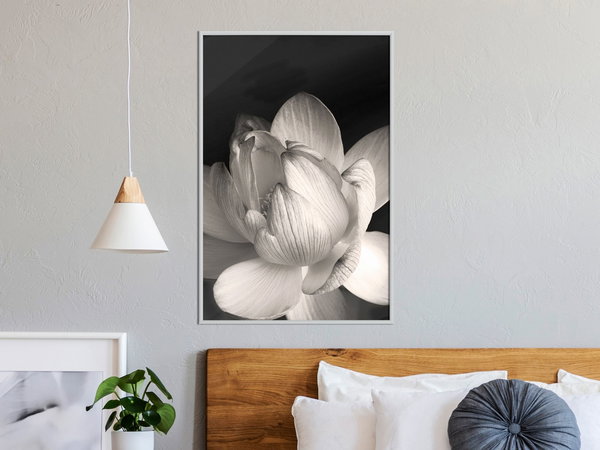 Poster 'Delicacy of a Flower'