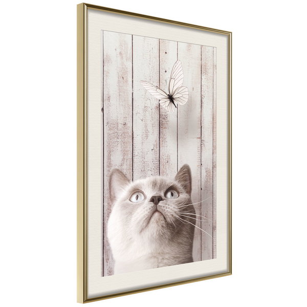 Poster 'Piercing Look'