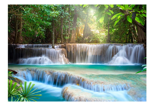 Tapeta 'Rainforest Paradise'