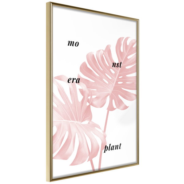 Poster 'Pale Pink Monstera'