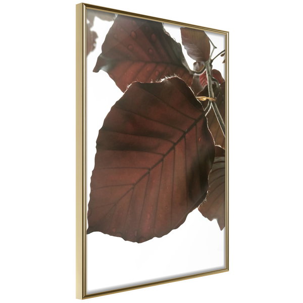 Poster 'Burgundy Tilia Leaf'