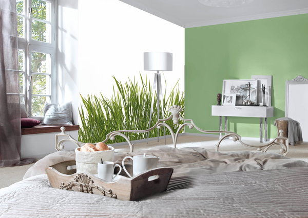 Tapete 'Grass' 400x270cm