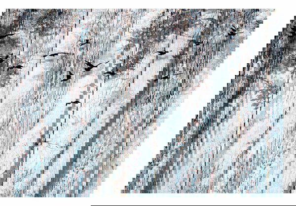 Papier peint autocollant 'Forest Freedom'