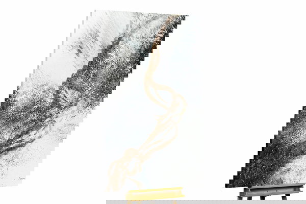 Een uniek exemplaar voor je interieur