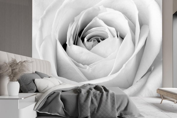 Tapet 'Petal Veil'