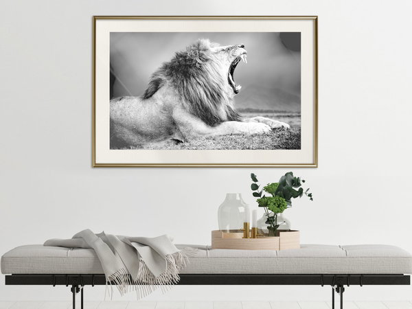 Poster 'Yawning Lion'