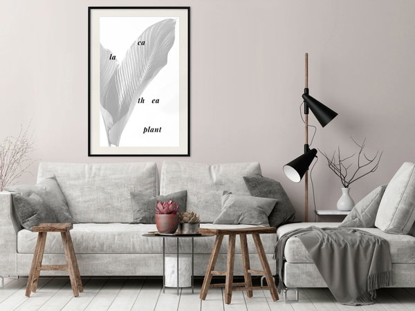 Poster 'Calathea Leaves'