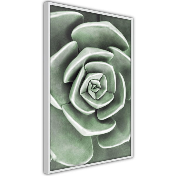 Poster 'Robust Plant'