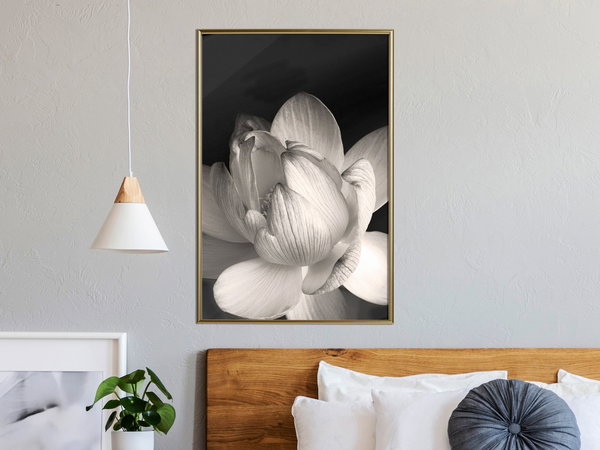 Poster 'Delicacy of a Flower'