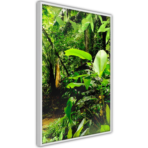 Poster 'In the Rainforest'