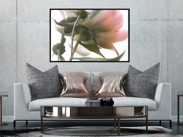 Poster 'Under the Flower'