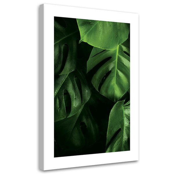 Kunstdruck auf Leinwand 'Monstera Leaves with Dew 1'