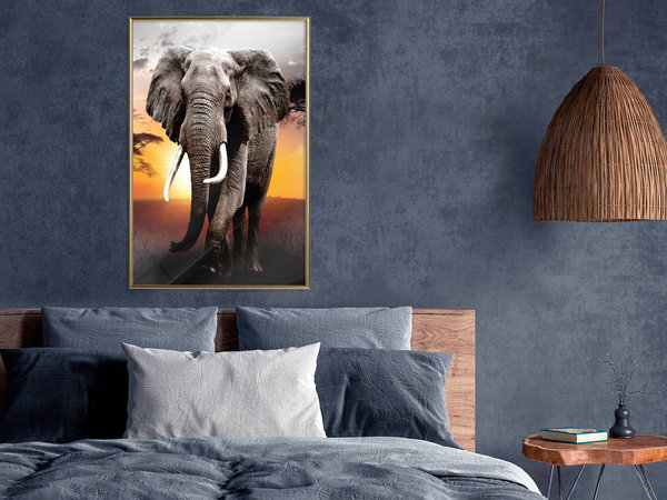 Poster 'Majestic Elephant'