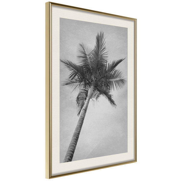 Poster 'Memories from the Paradise'