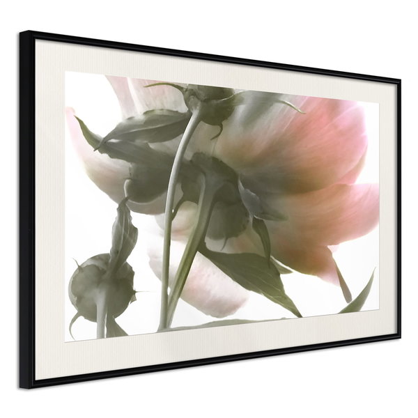 Poster 'Under the Flower'