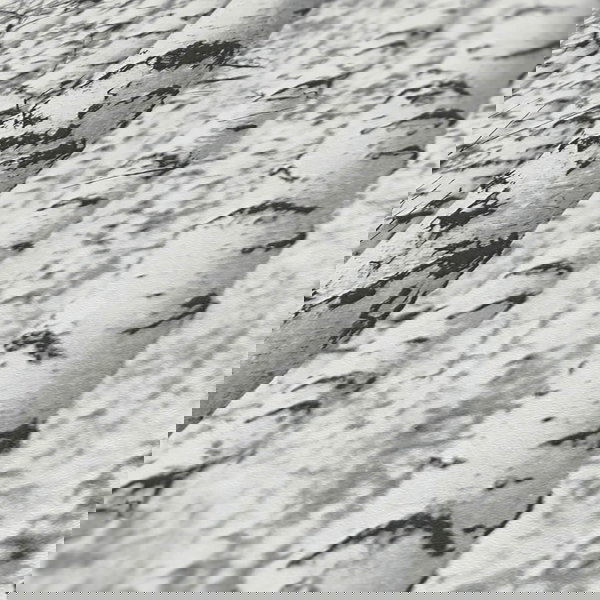 Tapeta 'One in a Million' 53x1005cm