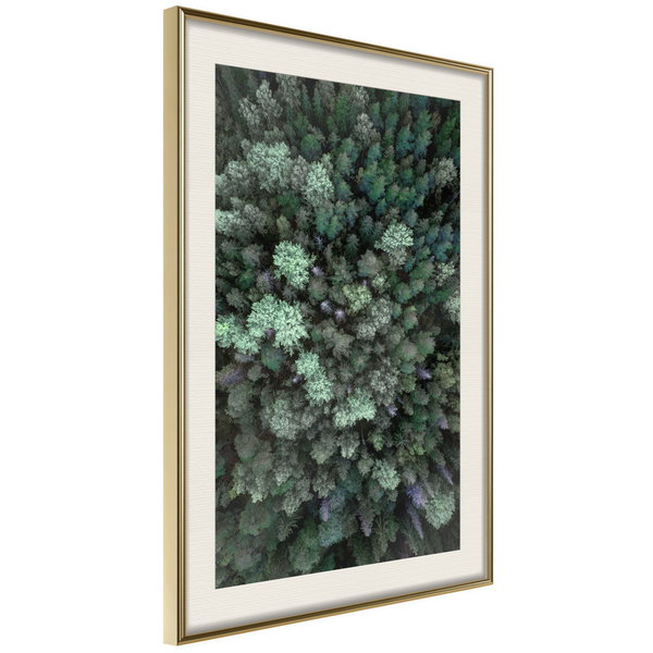 Poster 'World from High Above'