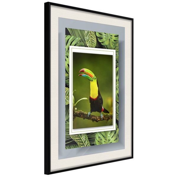 Poster 'Toucan in the Frame'