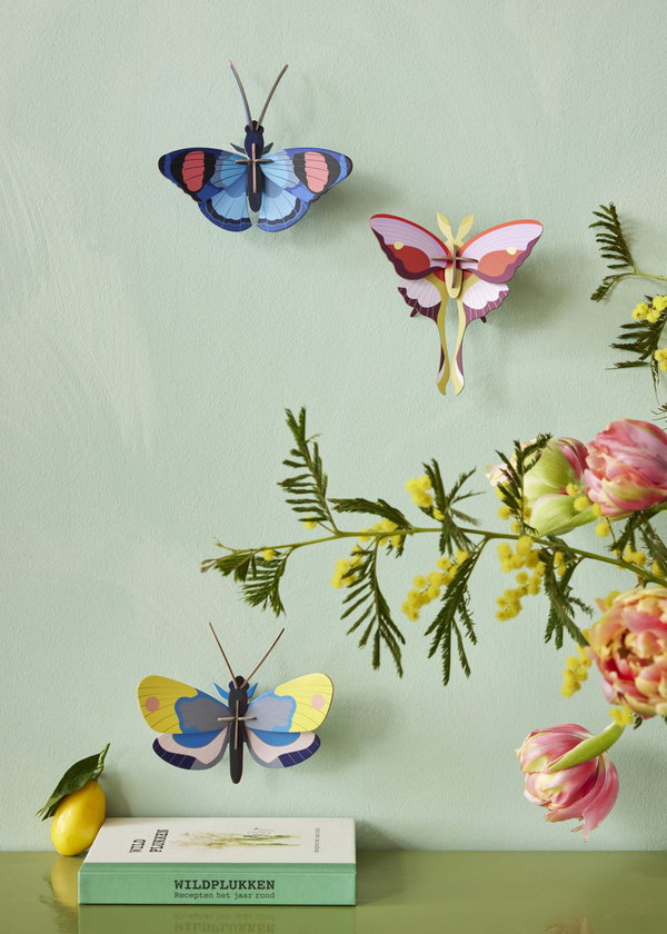 Wanddeko Papier 'Elegante Mottenflügel'