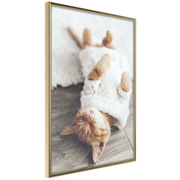 Poster 'Lazy Cat'