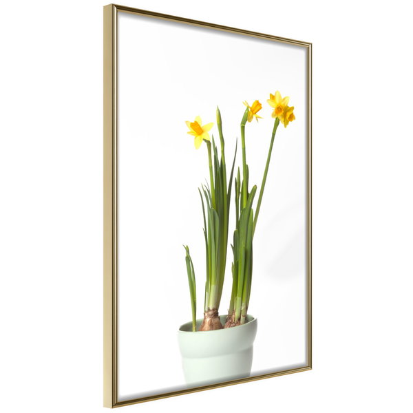 Poster 'Piece of Nature IV'