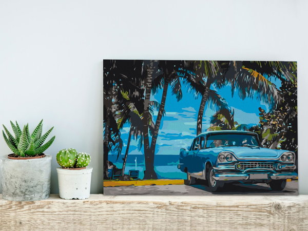 Malen nach Zahlen für Erwachsene 'Car under Palm Trees'