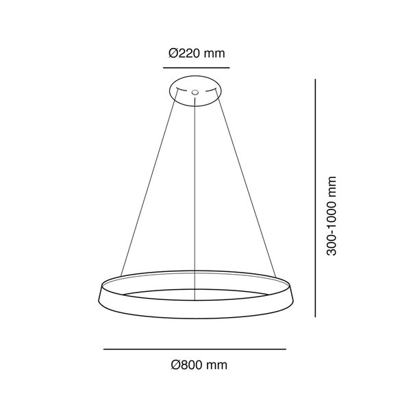 Suspension luminaire 'Lizer 3GY'