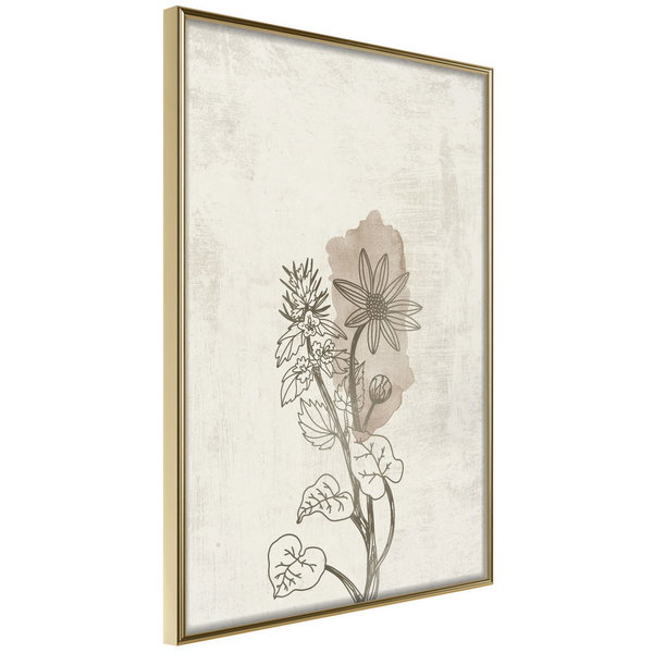 Poster 'Life of Plants'