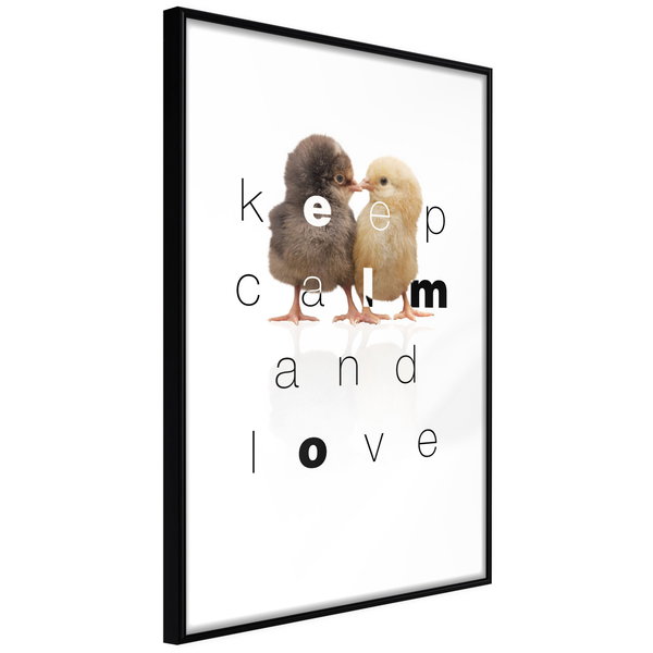 Poster 'Keep Calm and Love'