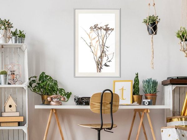 Poster 'Diary of a Herbalist'