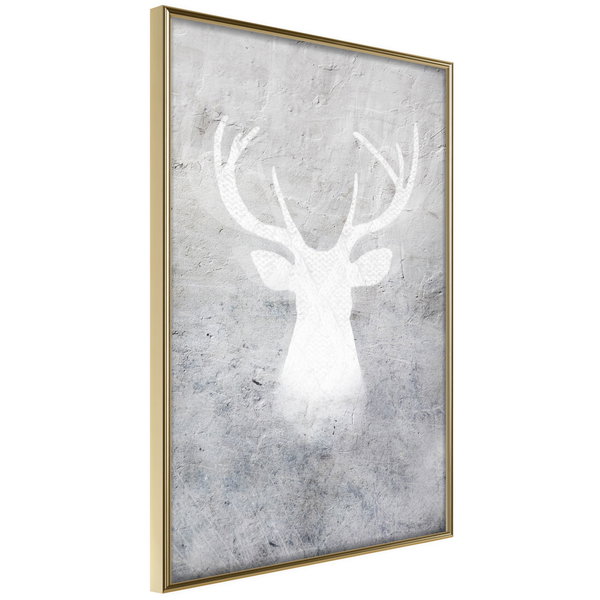 Poster 'White Shadow'