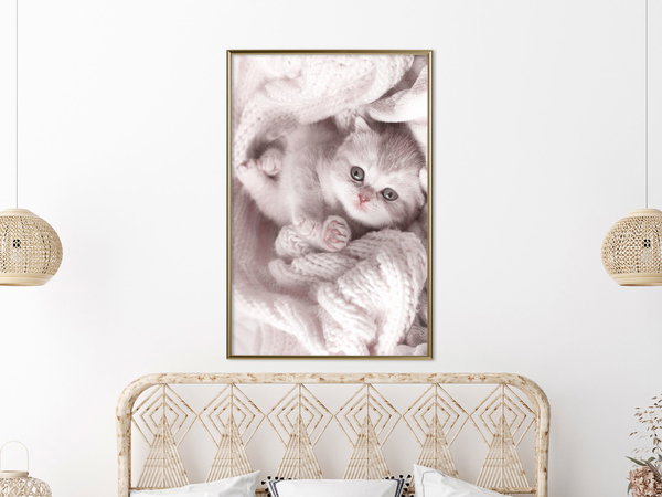 Poster 'Lover of Rest'