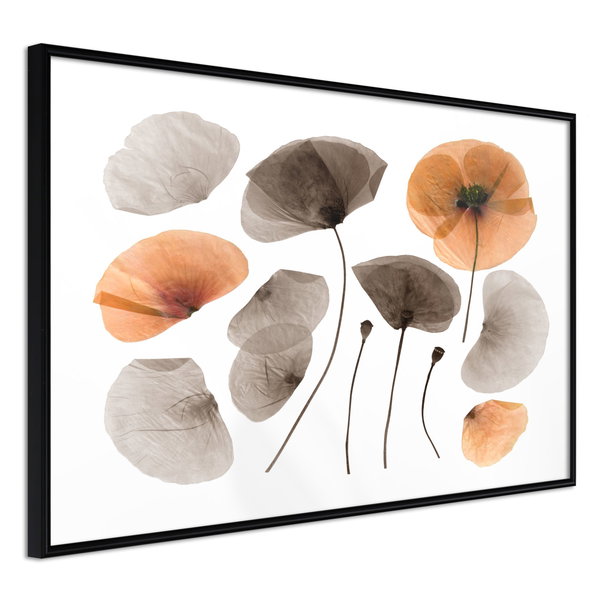 Plakater 'Dried Poppies'