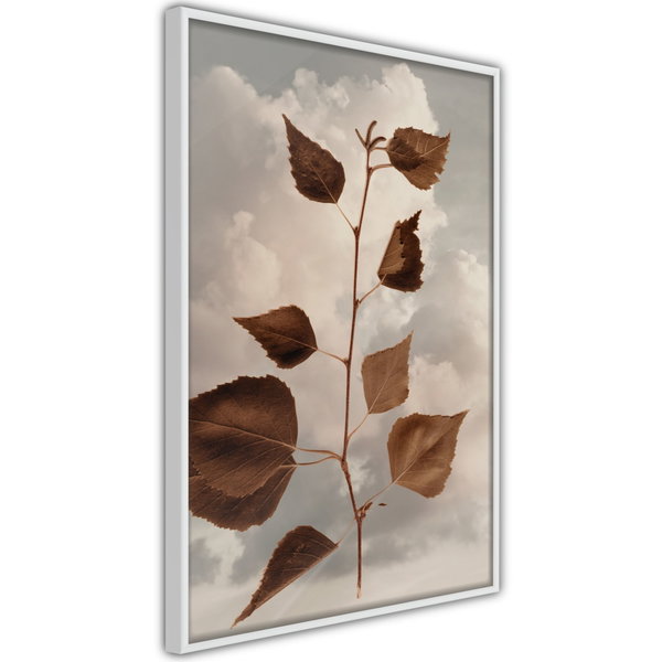 Póster 'Leaves in the Clouds'