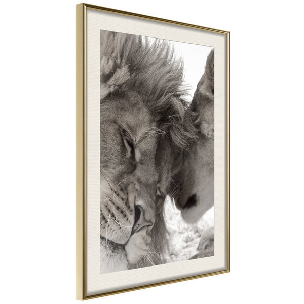 Poster 'Predatory Couple'