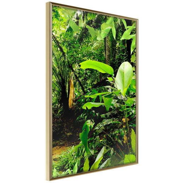Poster 'In the Rainforest'