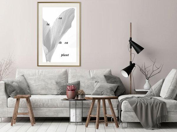Poster 'Calathea Leaves'