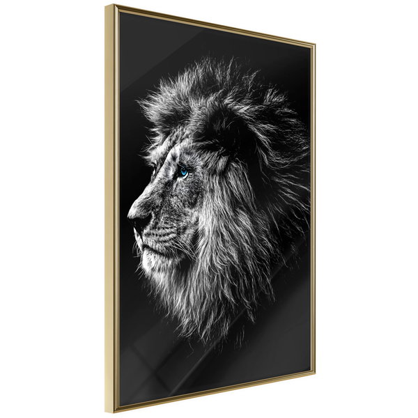 Poster 'Blue-eyed Lion'