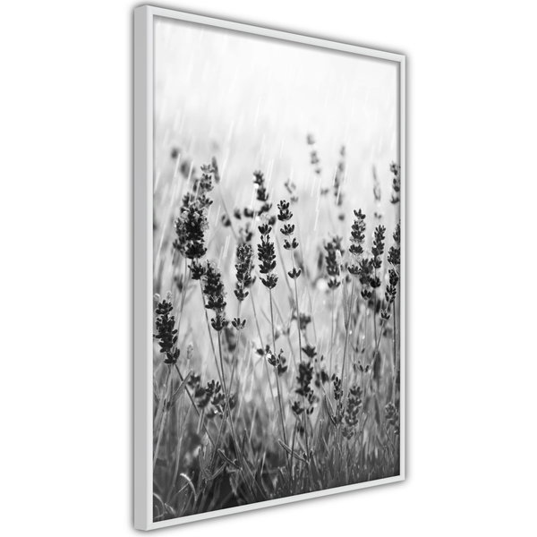 Poster 'Shadow of Meadow'